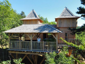 Cabane Château dans les arbres avec spa privatif- Messilhac